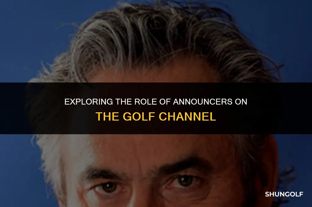 why are the announcers on the golf channel