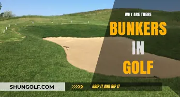 Uncovering the Purpose: Why Golf Courses Feature Bunkers