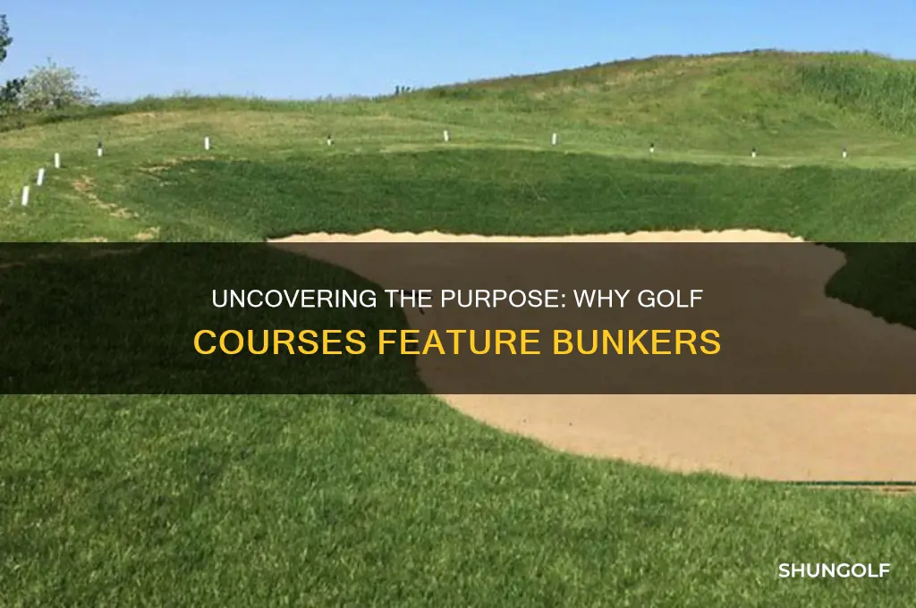 why are there bunkers in golf