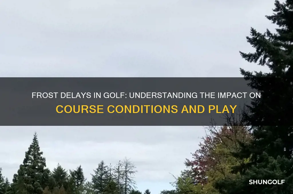 why are there frost delays in golf