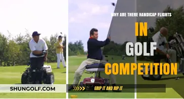 Understanding Handicap Flights in Golf Competitions: Purpose and Benefits