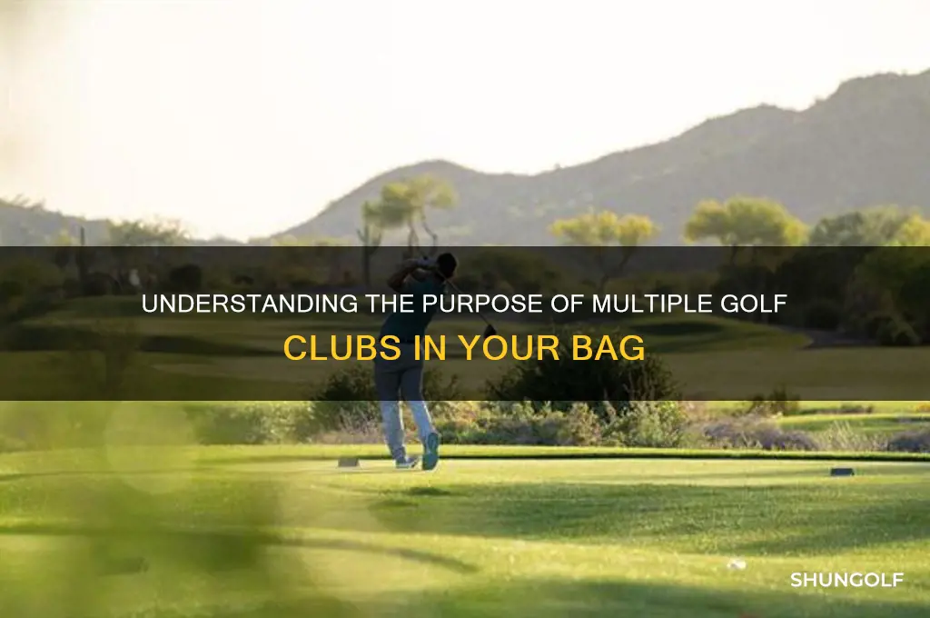 why are there more than one golf club