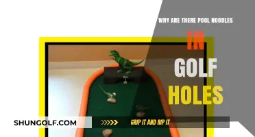 Why Golf Holes Are Stuffed with Pool Noodles: Explained