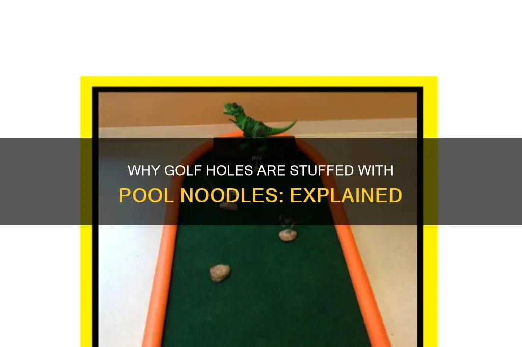 why are there pool noodles in golf holes