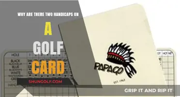 Understanding the Purpose of Dual Handicaps on Your Golf Scorecard