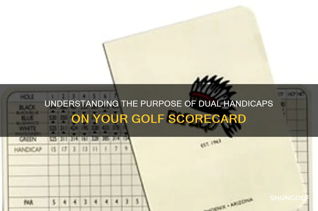why are there two handicaps on a golf card