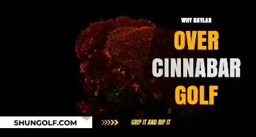 Baylan vs. Cinnabar Golf: Why Baylan Takes the Lead