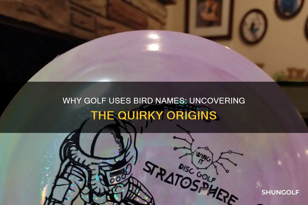 why bird names in golf
