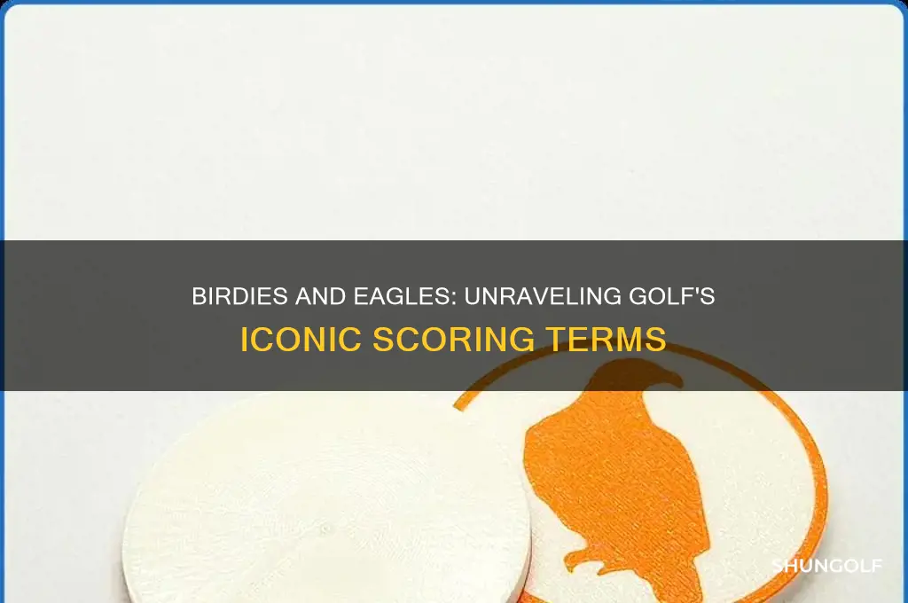 why birdie and eagle in golf
