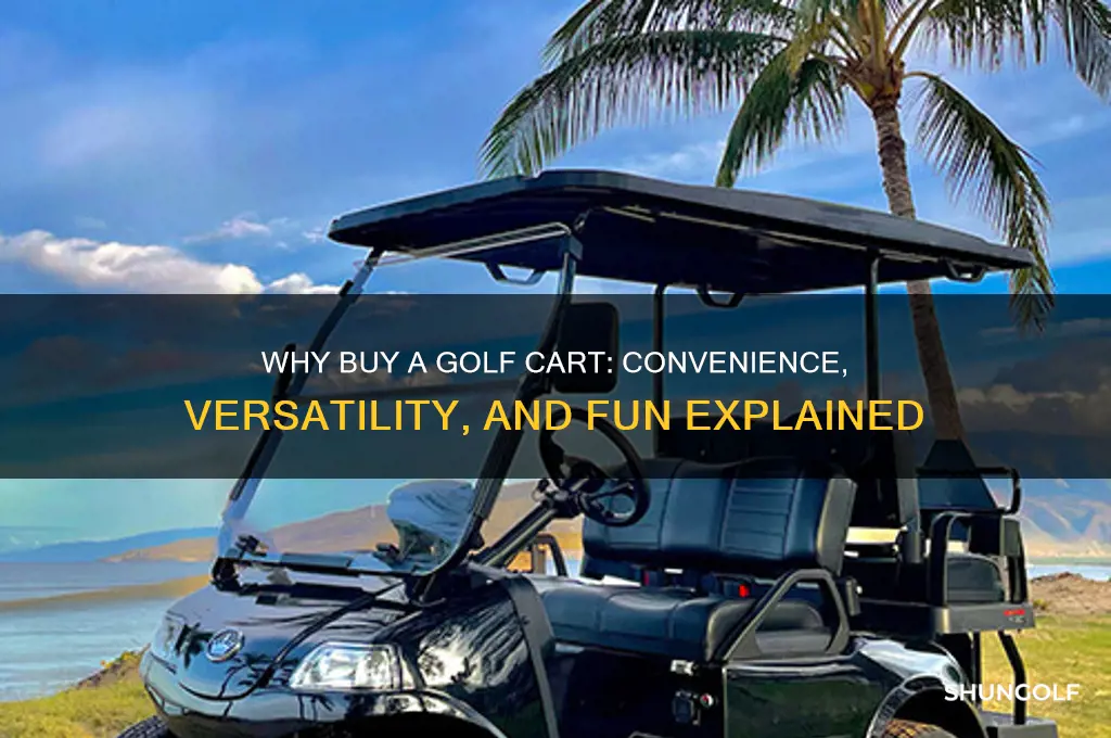 why buy a golf cart