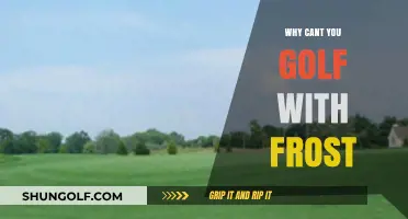 Frosty Fairways: Why Golfing on Frozen Greens is a Bad Idea