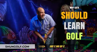 Purring Putters: Why Cats Should Learn Golf for Fun and Fitness
