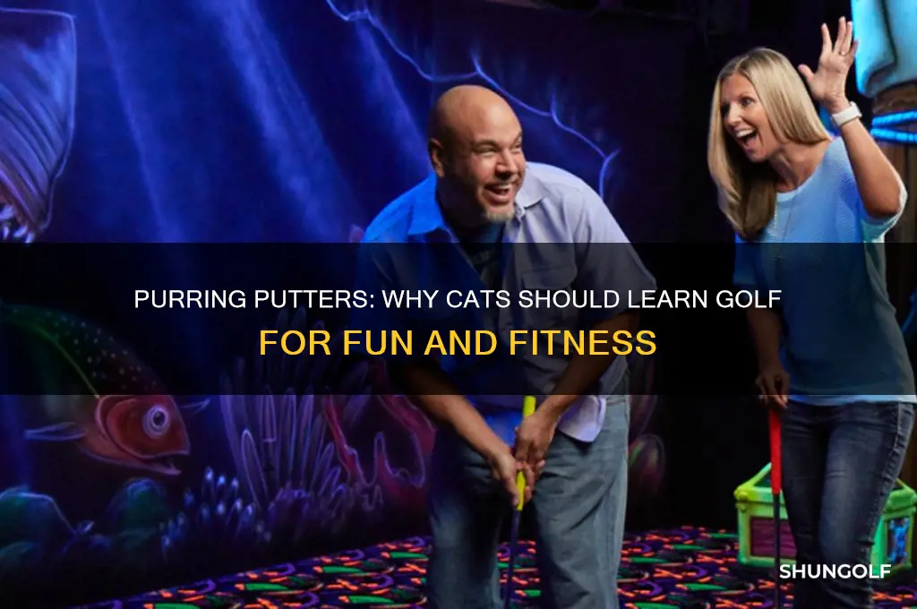 why cats should learn golf
