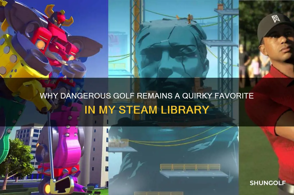 why dangerous golf is in my steam library