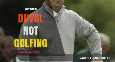 Why David Duval Stepped Away from Professional Golfing