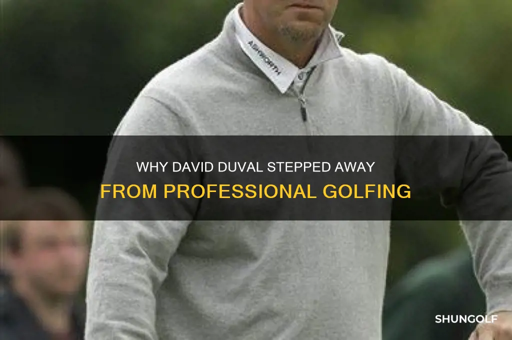 why david duval not golfing