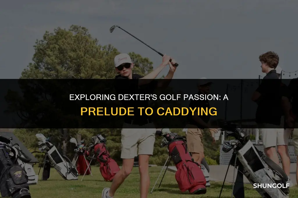 why dexter play golf before caddying