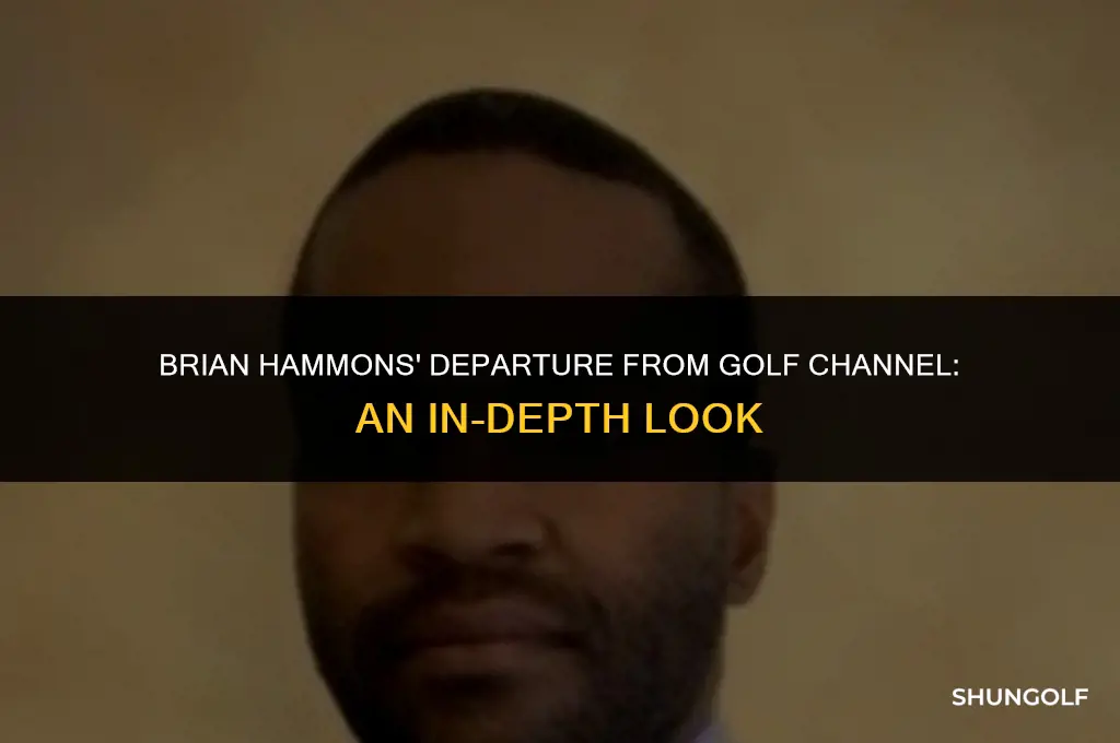 why did brian hammons leave golf channel