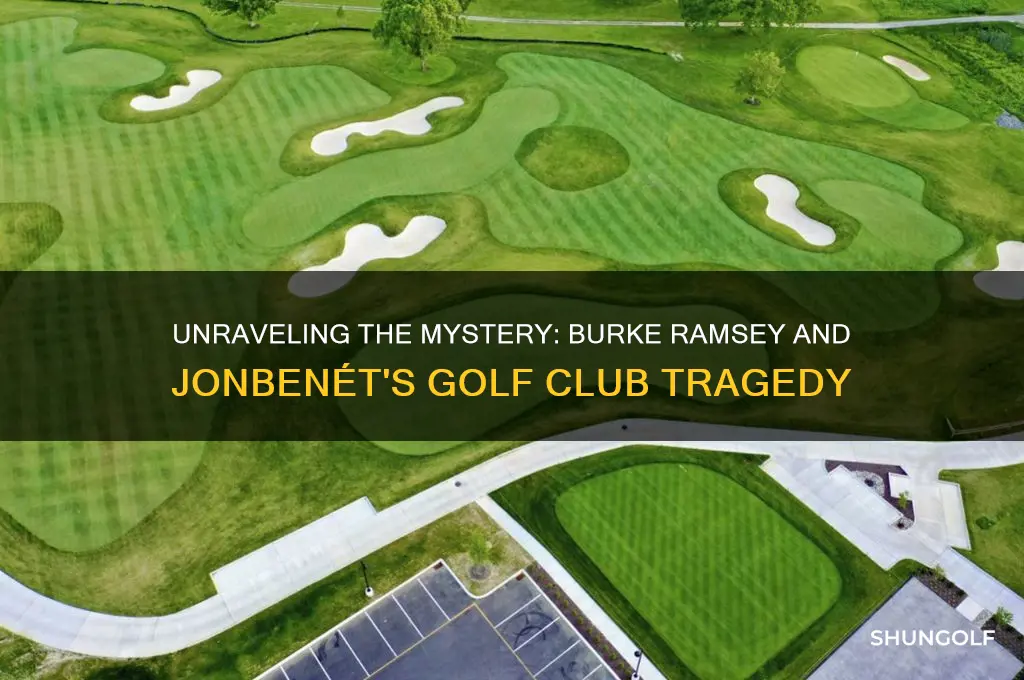 why did burke hit jonbenet with a golf club