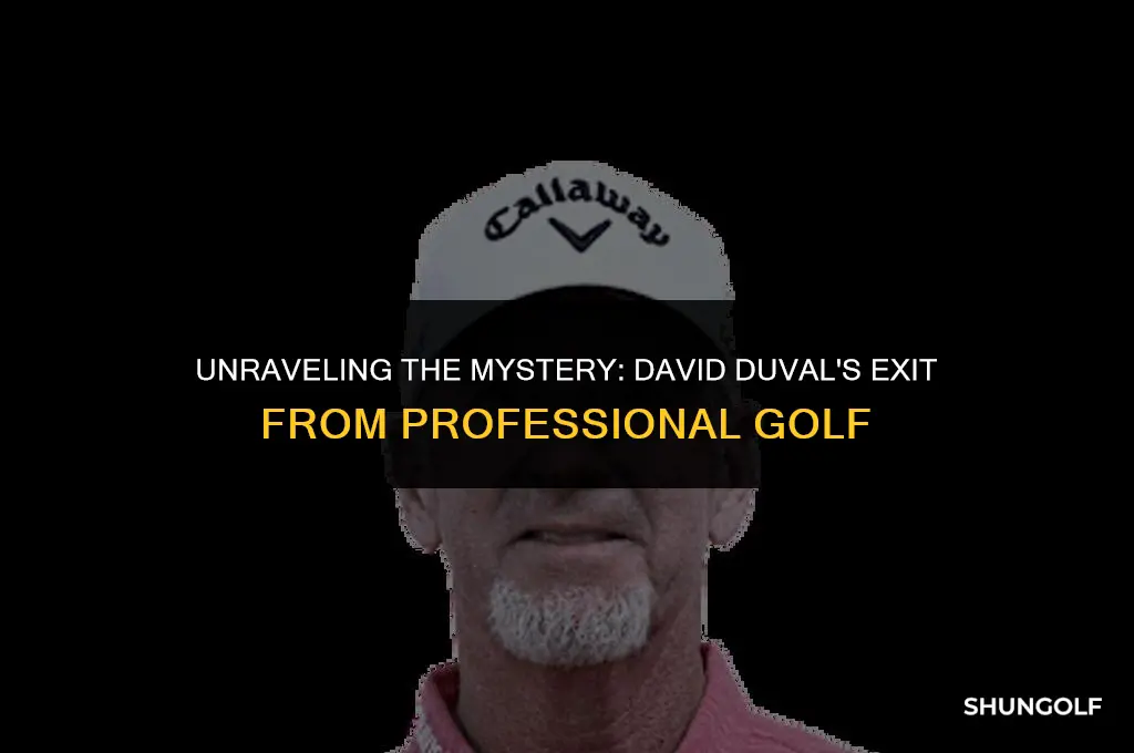 why did david duval quit playing golf
