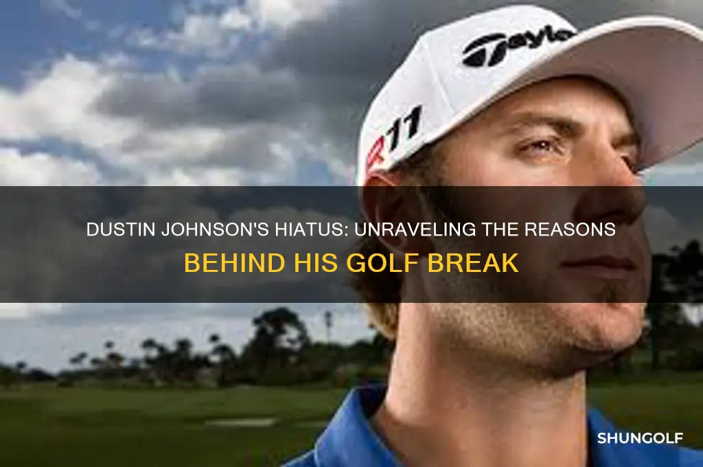 why did dustin johnson take a break from golf