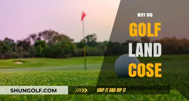 Exploring the Decline: Why Golf Land Courses Are Closing Down