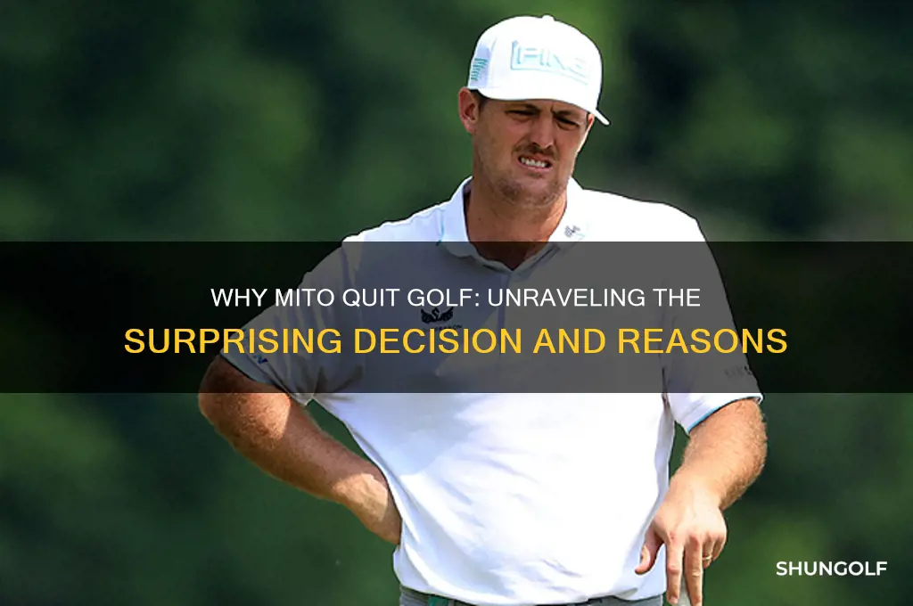 why did mito quit golf