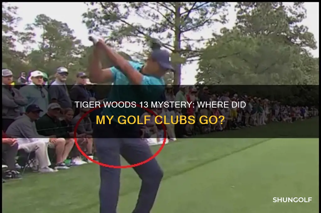 why did my golf clubs disappear on tiger woods 13
