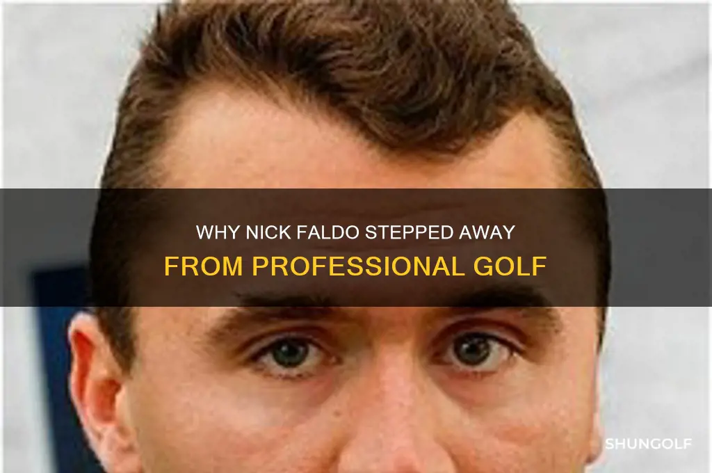 why did nick faldo quit golf