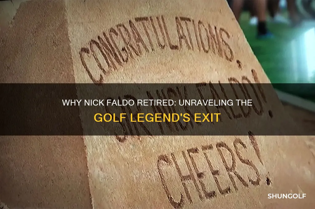 why did nick faldo retire from golf