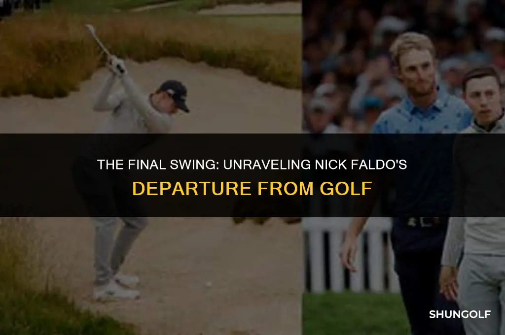 why did nick faldo stop playing golf