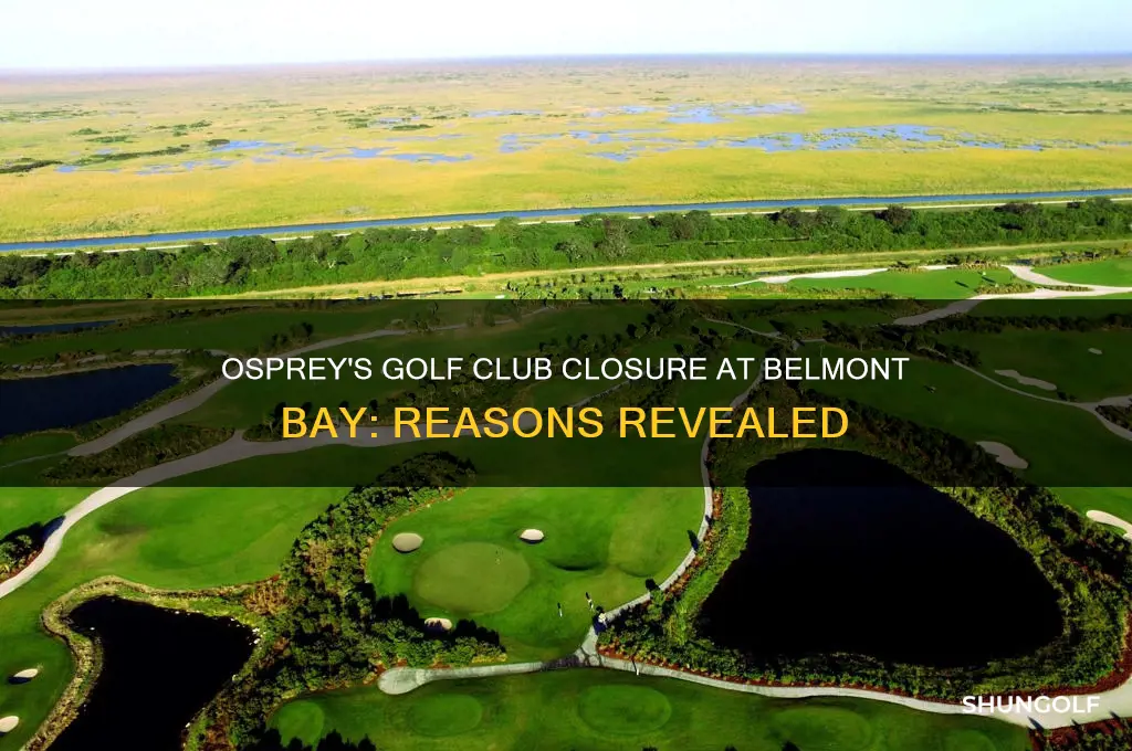 why did osprey