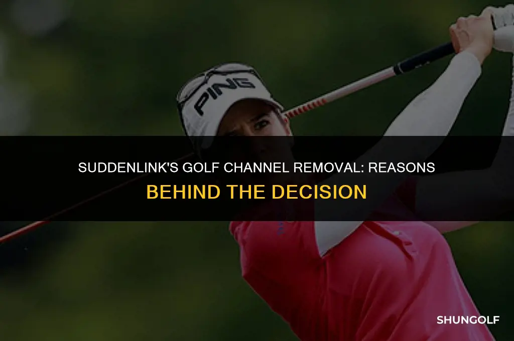 why did suddenlink drop the golf channel
