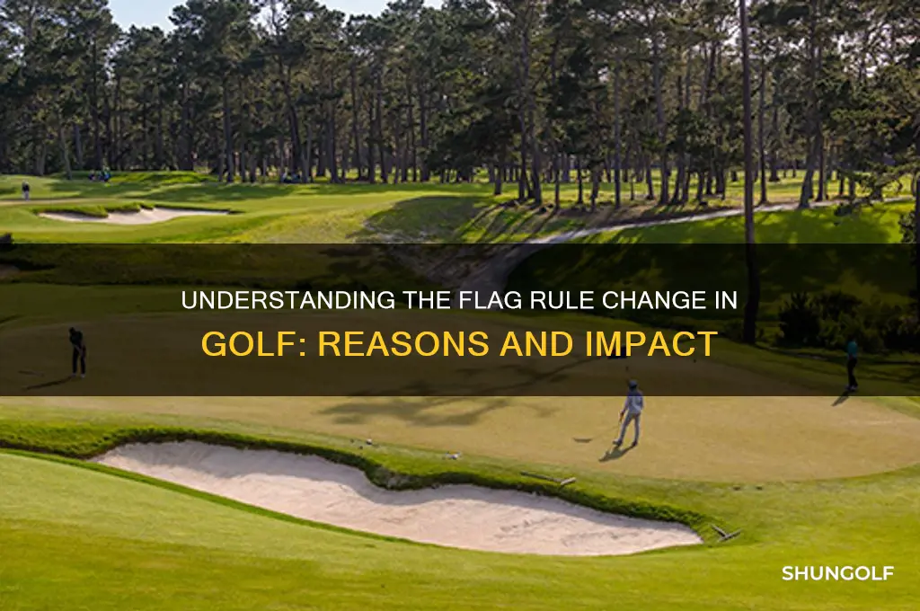 why did they change the flag rule in golf