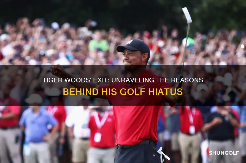 why did tiger woods drop out of golf