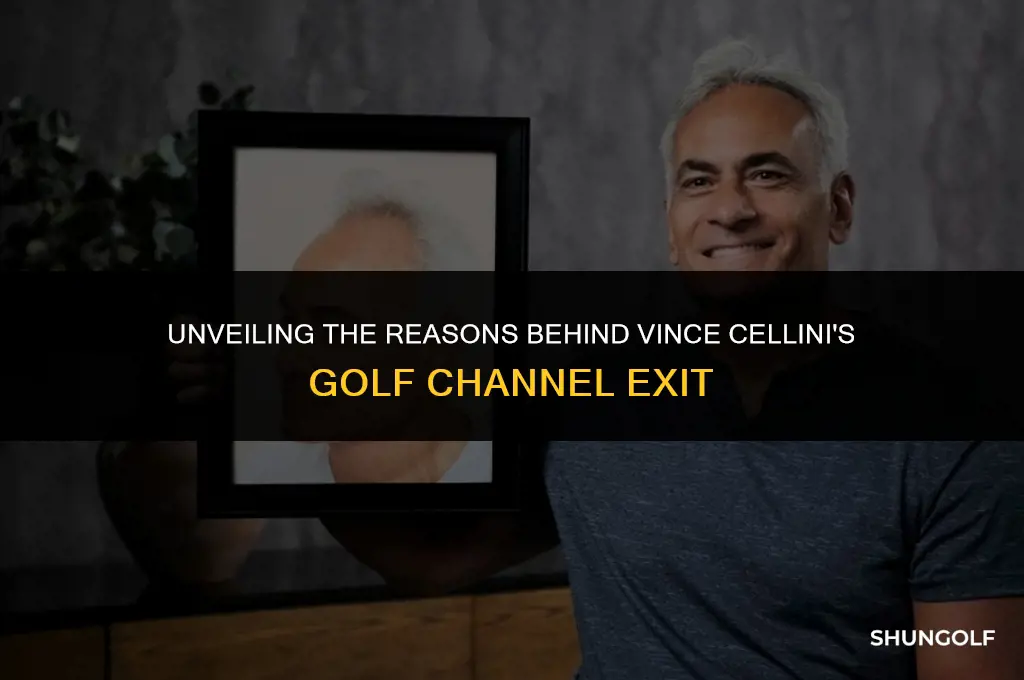 why did vince cellini leave the golf channel