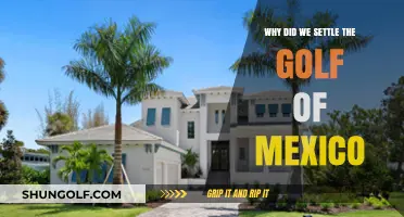 Exploring the Reasons Behind Settling the Gulf of Mexico