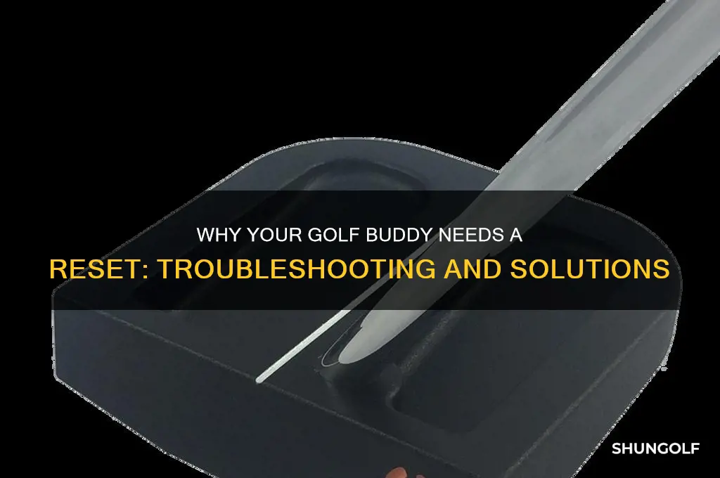 why dies golf buddy need a reset
