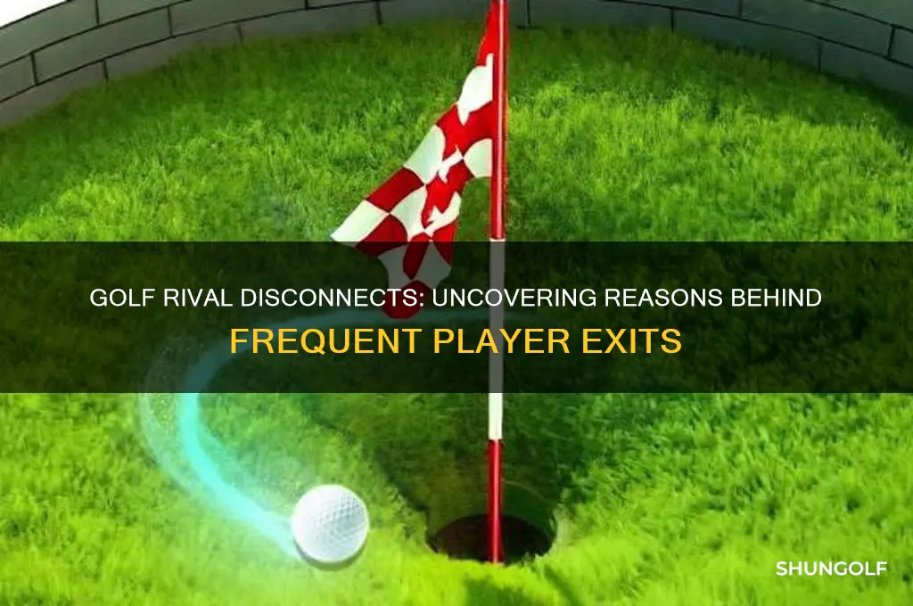 why do a lot of players disconnect in golf rival