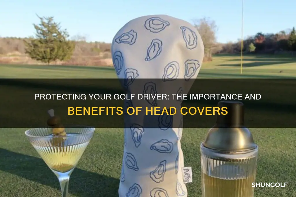 why do golf drivers have covers