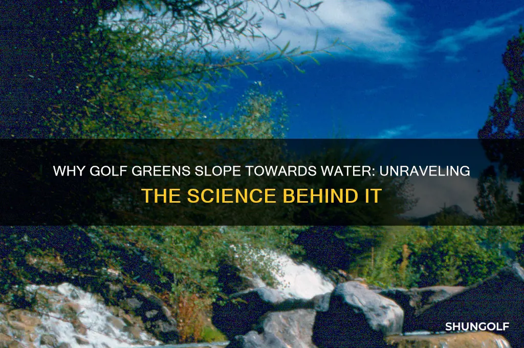 why do golf greens break towards water