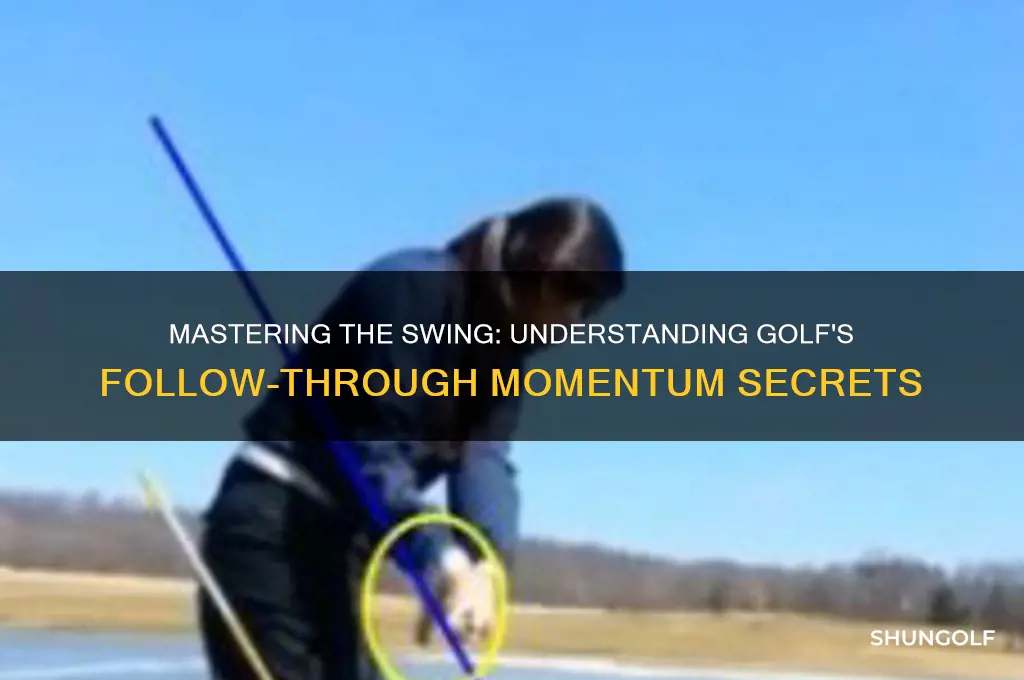 why do golf players follow through momentum