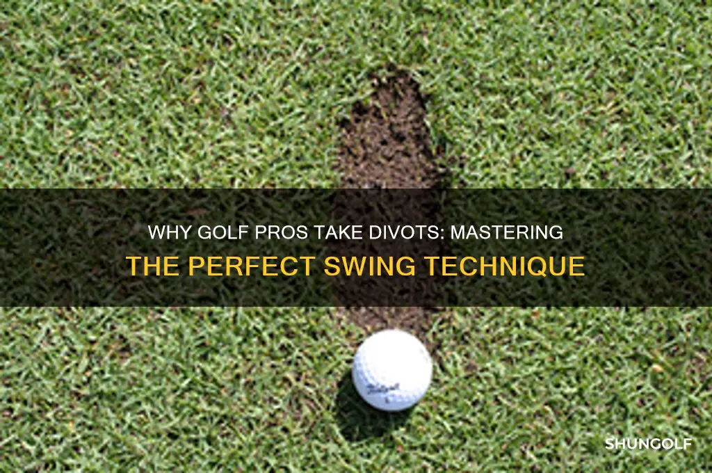 why do golf pros take divots