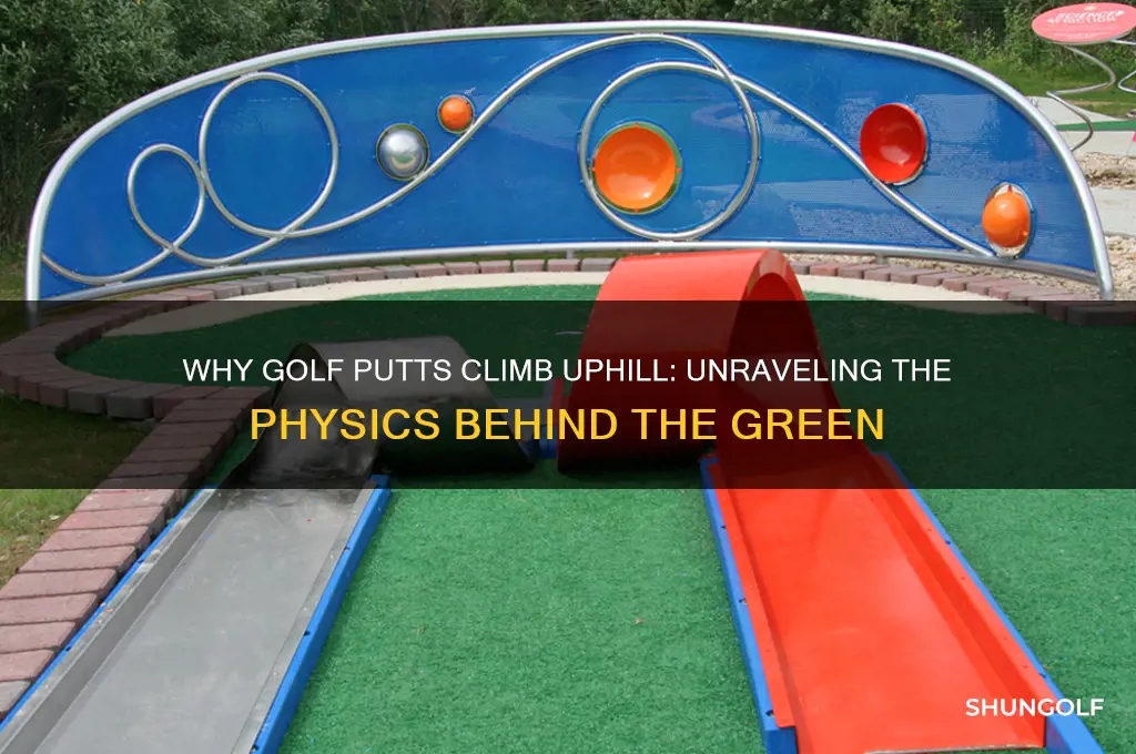 why do golf putts sometimes turn up into hill