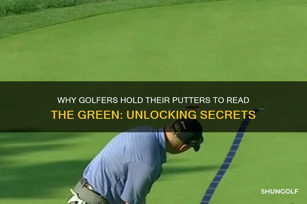 why do golfed holdthier putters to read the green
