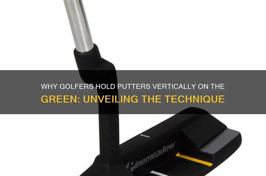 why do golfer hold putty vertical on the green