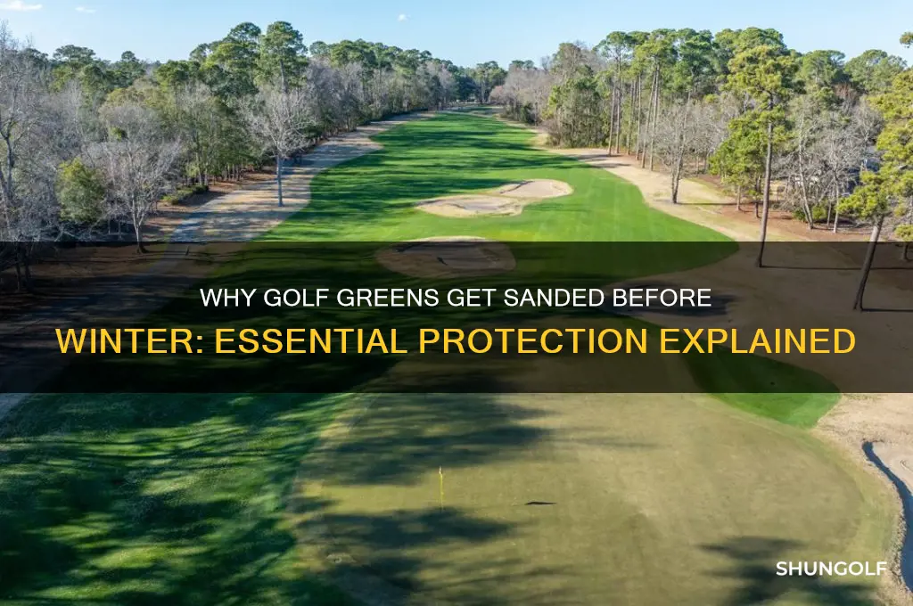 why do the put sasnd on golf greens before winter