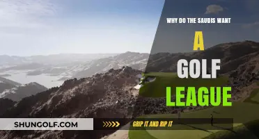 Saudi Arabia's Golf League Ambitions: Sportswashing or Strategic Diversification?