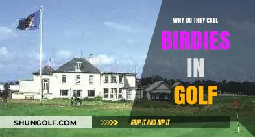 Why Golfers Call Them Birdies: The Surprising Origins Explained