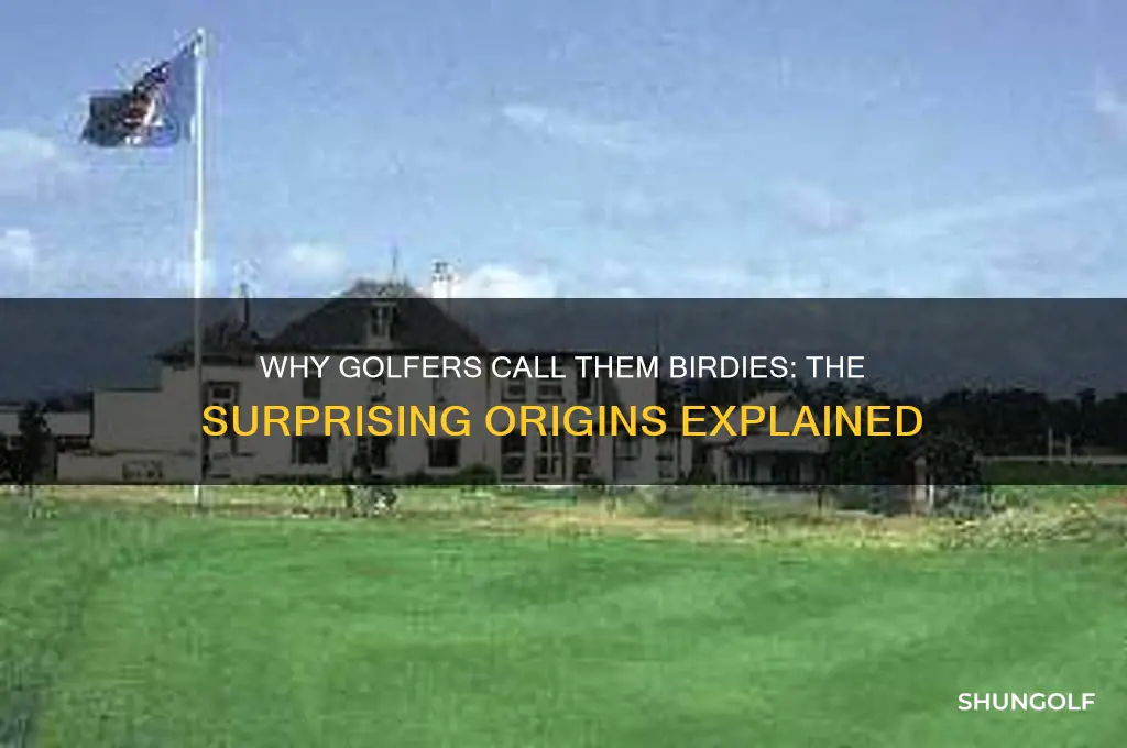 why do they call birdies in golf